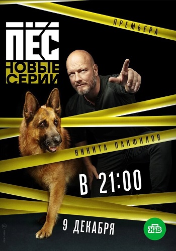 Пёс 5 Сезон Все Серии Подряд 2019
